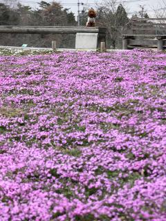 20130401_12.jpg
