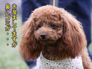 20130401_13.jpg