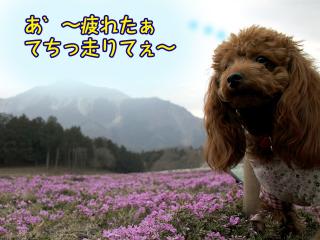 20130401_14.jpg