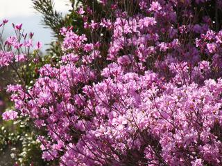 20130404_02.jpg