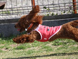 20130404_04.jpg