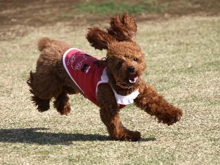 20130404_05.jpg