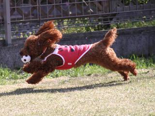 20130404_06.jpg