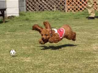 20130404_07.jpg