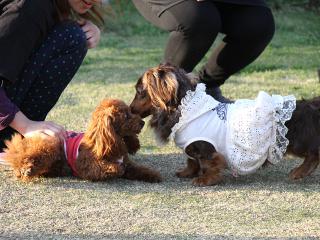 20130404_12.jpg