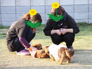 20130404_14.jpg