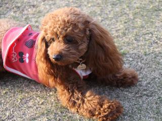 20130404_15.jpg