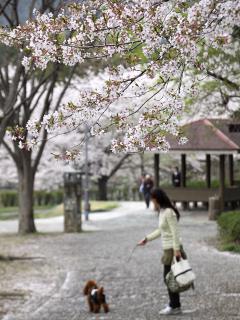 20130405_02.jpg