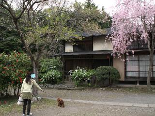 20130405_06.jpg