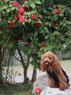 20130405_07.jpg