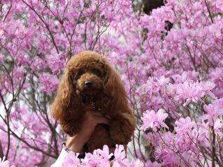 20130405_11.jpg