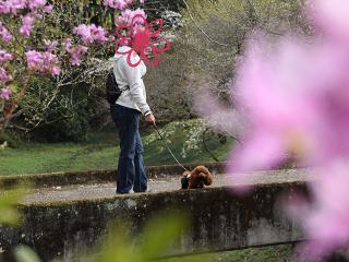 20130405_12.jpg
