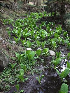20130405_16.jpg