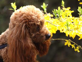 20130405_19.jpg
