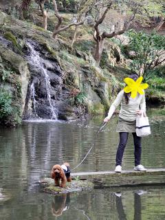 20130405_20.jpg