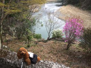 20130405_22.jpg