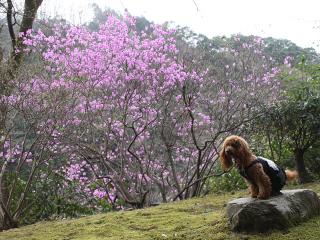 20130405_23.jpg