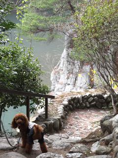 20130405_24.jpg