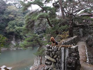 20130405_25.jpg
