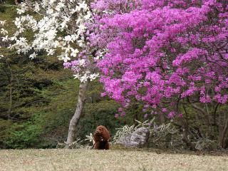 20130405_26.jpg