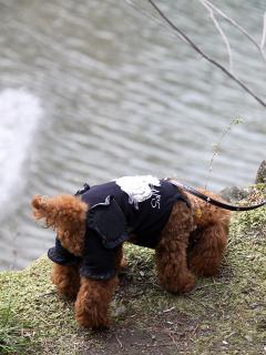 20130405_29.jpg