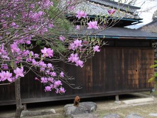 20130405_30.jpg