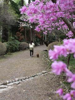 20130405_37.jpg