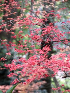 20130405_43.jpg