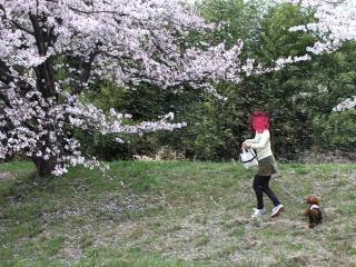20130405_45.jpg