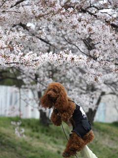 20130405_46.jpg