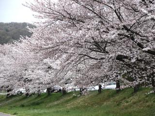 20130405_47.jpg