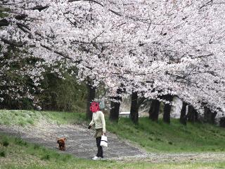20130405_49.jpg