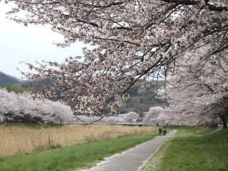 20130405_50.jpg