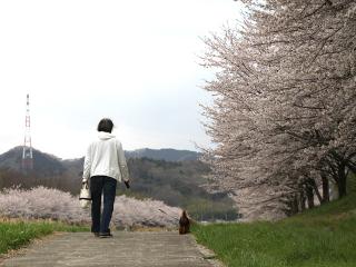 20130405_51.jpg