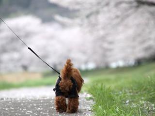 20130405_52.jpg