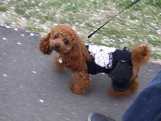 20130405_53.jpg