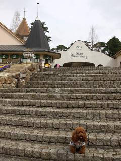 20130406_02.jpg