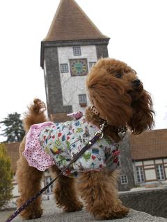 20130406_06.jpg