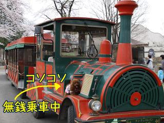 20130406_14.jpg