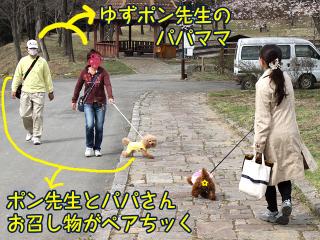 20130406_15.jpg