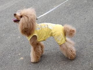 20130406_16.jpg
