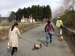 20130406_18.jpg