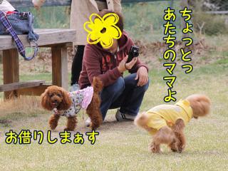 20130406_21.jpg