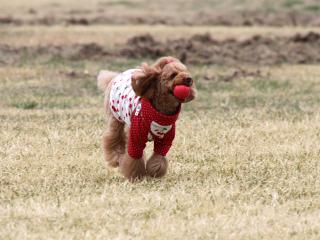 20130406_35.jpg
