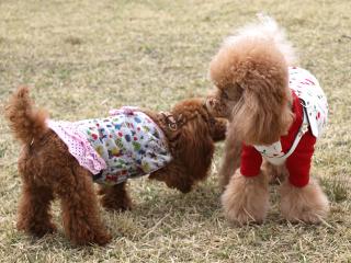 20130406_38.jpg