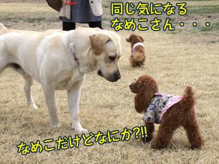 20130406_39.jpg