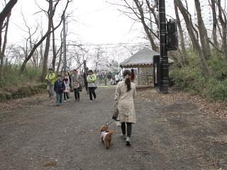 20130406_42.jpg