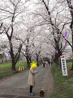 20130406_44.jpg