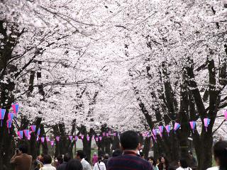 20130406_45.jpg