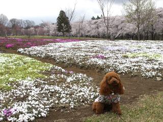 20130406_48.jpg